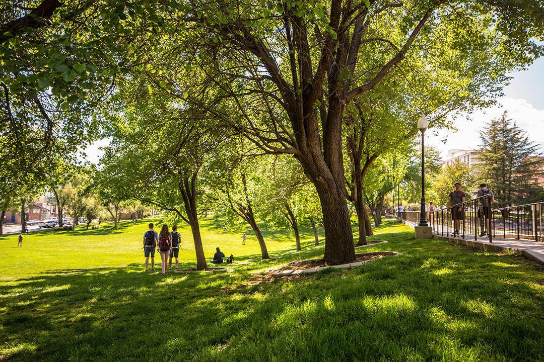 A group of students stand on the lawn next to trees on the University of Nevada, Reno campus, while another group walks along a pathway lined with rails.